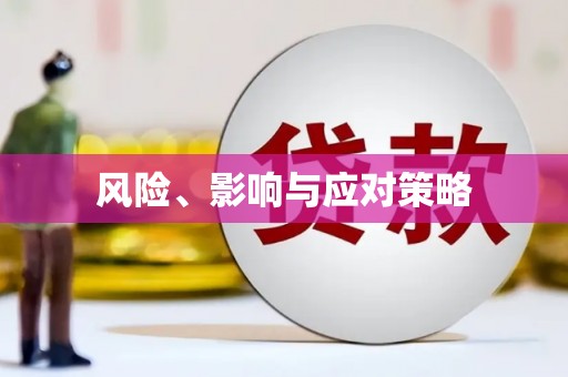 正宁风险、影响与应对策略