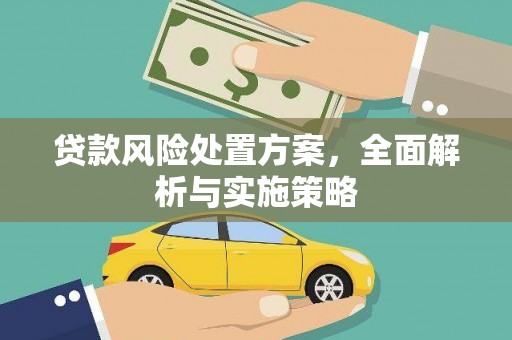 正宁贷款风险处置方案，全面解析与实施策略