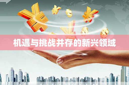 正宁机遇与挑战并存的新兴领域