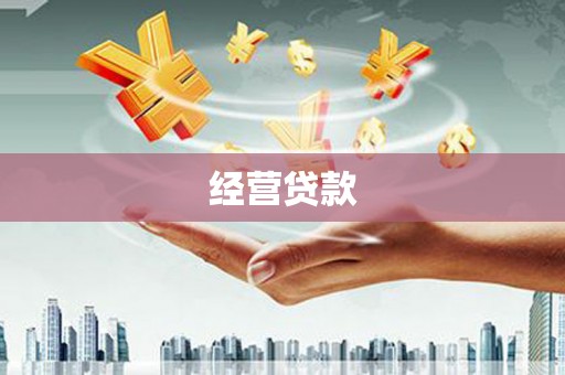 正宁经营贷款