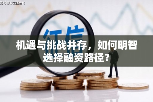 正宁机遇与挑战并存，如何明智选择融资路径？