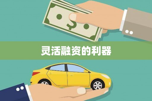 正宁灵活融资的利器