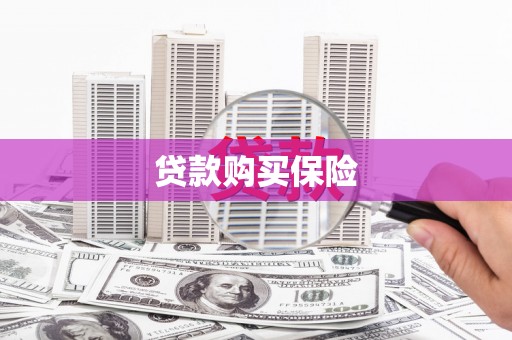 正宁贷款购买保险