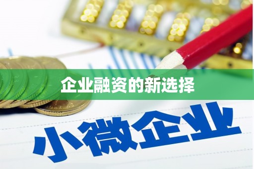 正宁企业融资的新选择