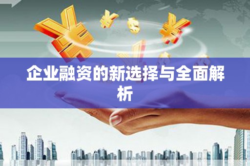 正宁企业融资的新选择与全面解析
