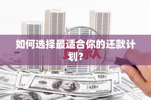 正宁如何选择最适合你的还款计划？