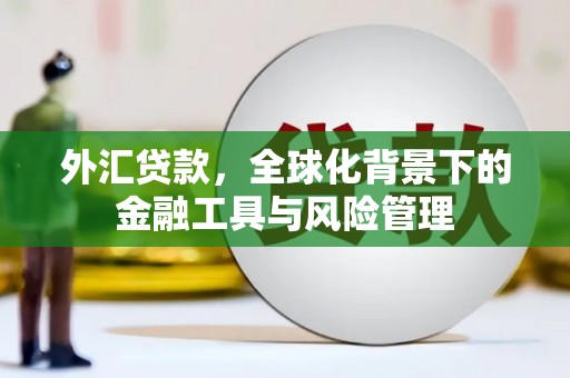 正宁外汇贷款，全球化背景下的金融工具与风险管理