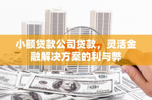 正宁小额贷款公司贷款，灵活金融解决方案的利与弊