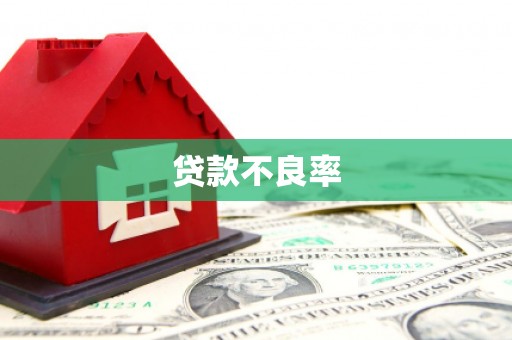 正宁贷款不良率