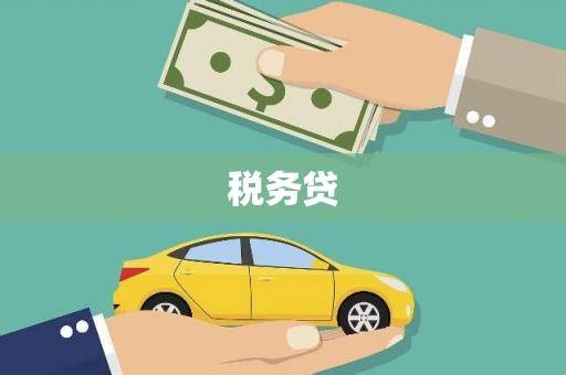正宁税务贷