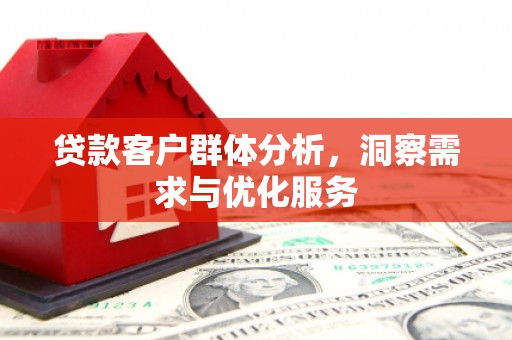 正宁贷款客户群体分析，洞察需求与优化服务