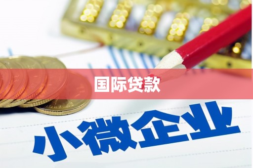 正宁国际贷款